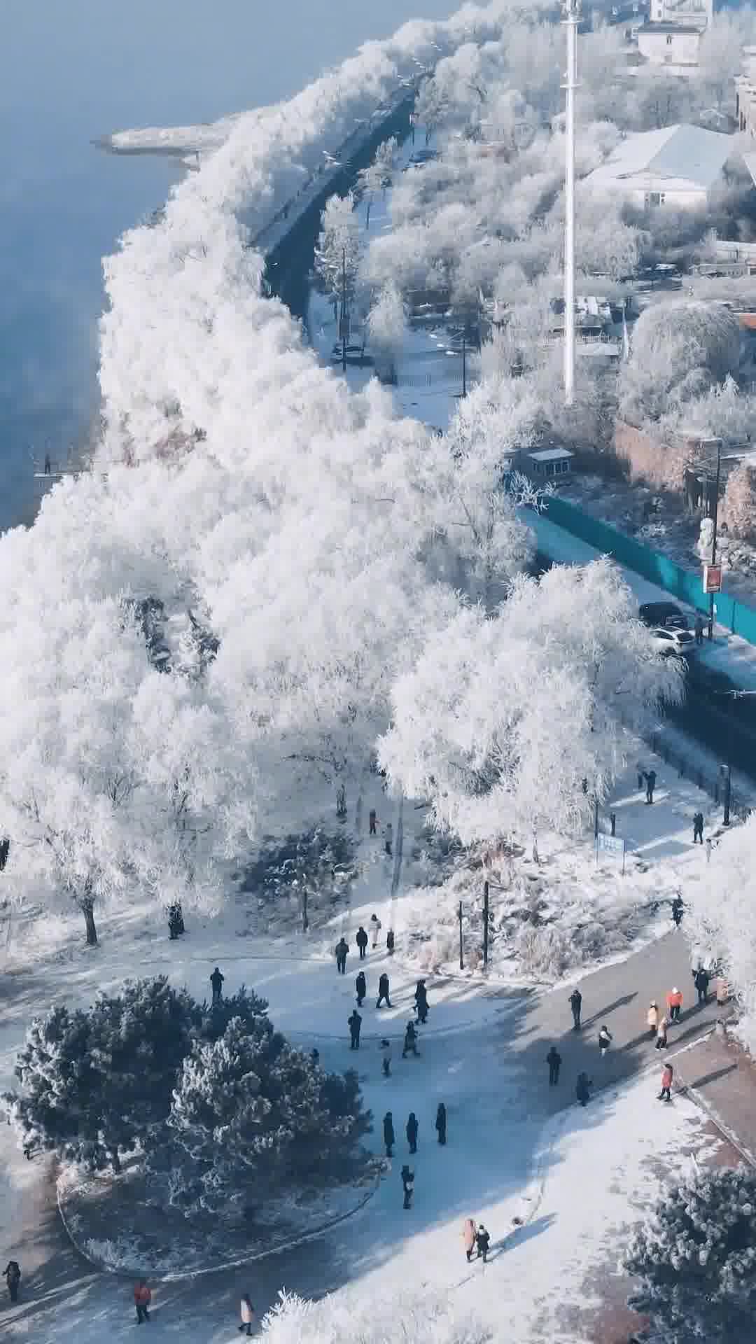 吉林概览，文化与风景的交织