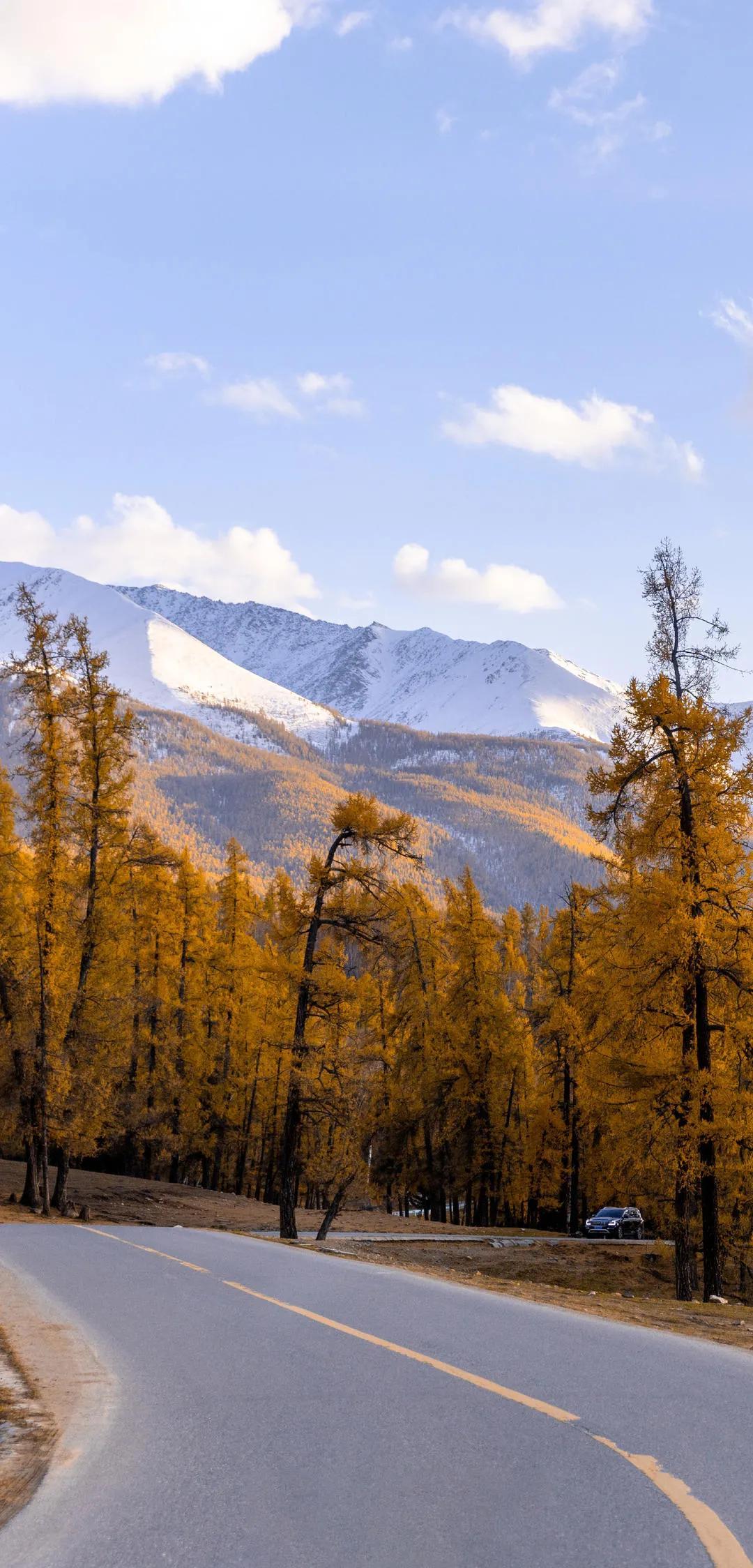 新疆之光，引领科技生活新纪元的领先高科技产品介绍